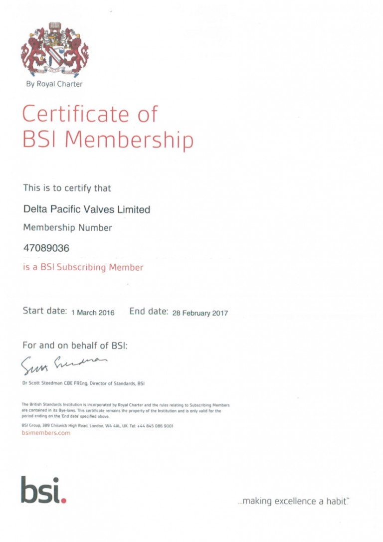 BSI 2016 17 Certificate DPV