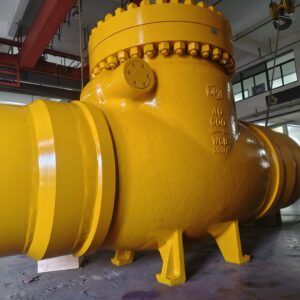 Check Valves