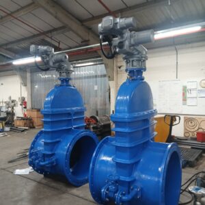 Gate Valves